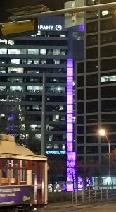 17Seventeen_Granite_Purple