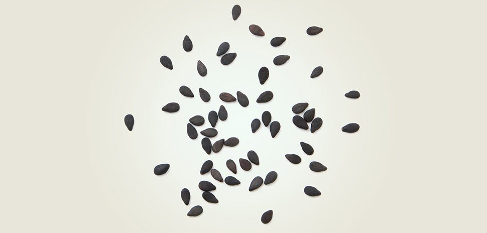 Organoids without blood vessels can't grow larger than sesame seeds—about 3 millimeters—before dying from lack of oxygen and nutrients. UNT and Stanford researchers say they've solved this problem. Seeds pictured above are not to scale. [Image: Pinchai Puntong/istockphoto]